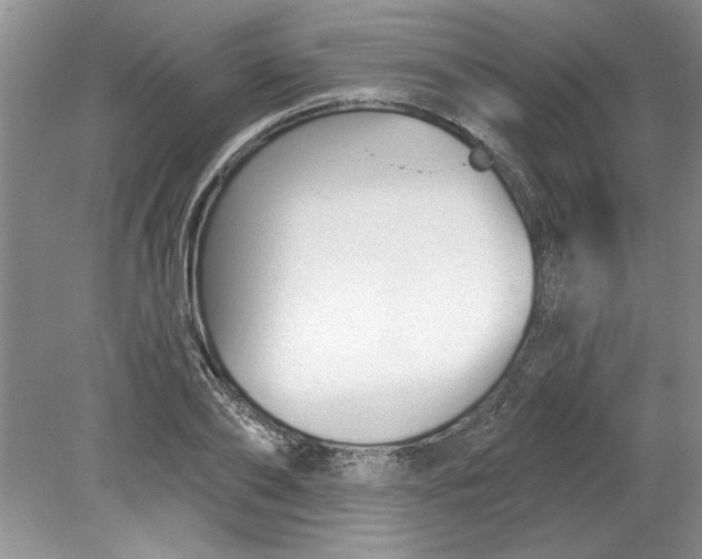 X0000078850886200612041903
