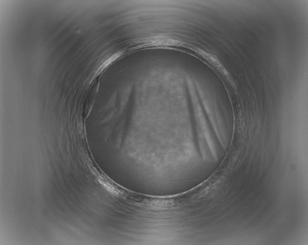 X0000078850889200612041903