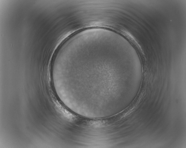 X0000078850892200612041903