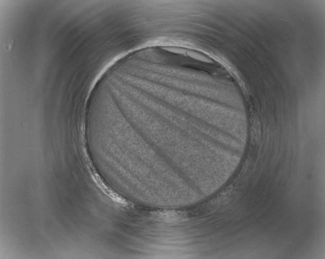 X0000078850896200612041903