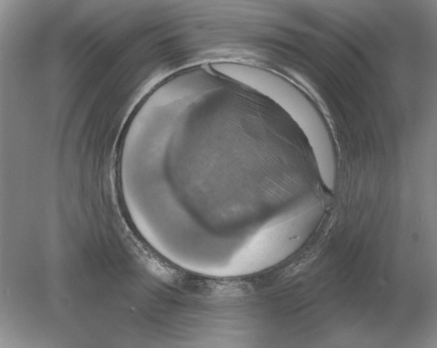 X0000078850899200612041903