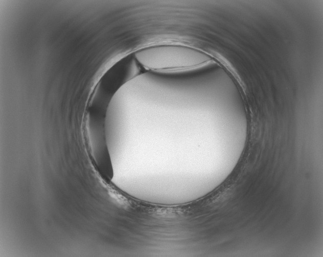 X0000078850901200612041903