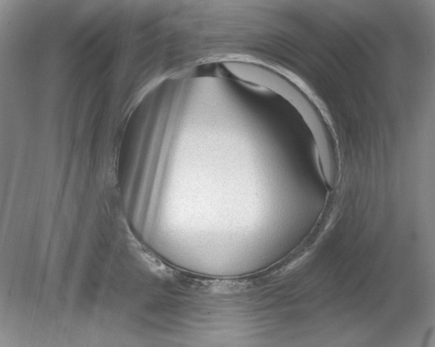X0000078850905200612041903