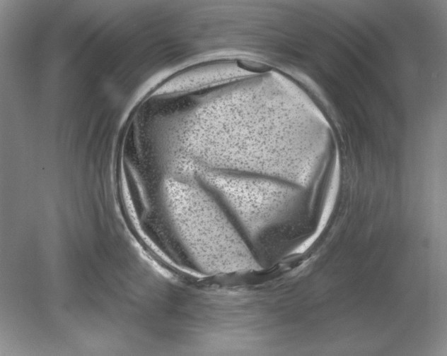 X0000078850910200612041903