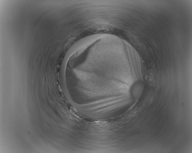 X0000078850916200612041902