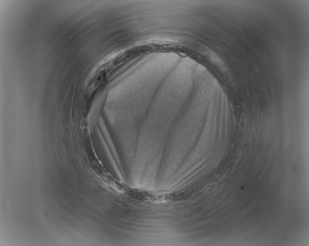 X0000078850920200612041902