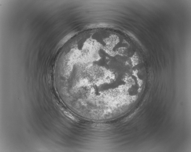 X0000078850921200612041902