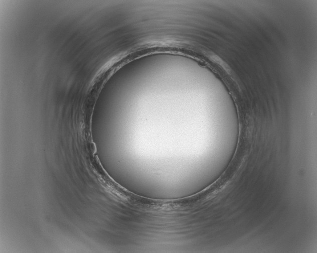 X0000078850922200612041902
