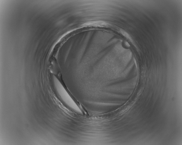 X0000078850923200612041902