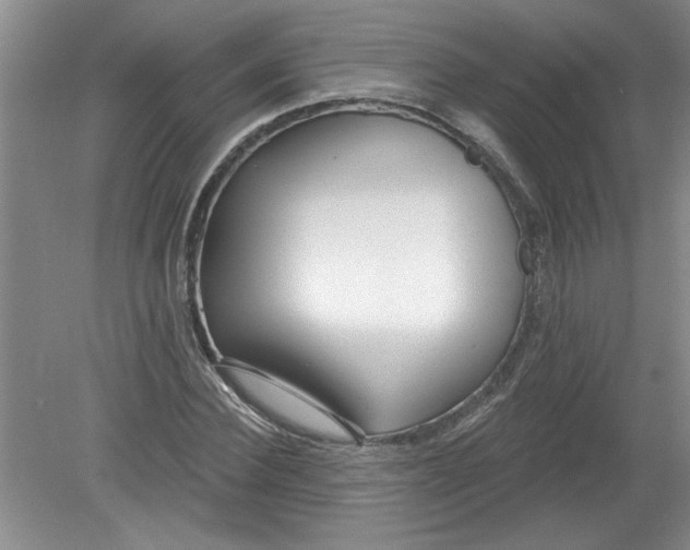 X0000078850924200612041902