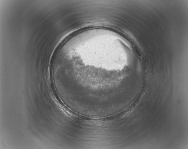 X0000078850932200612041902