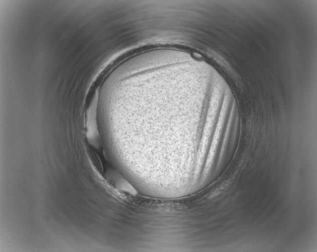 X0000078850934200612041902