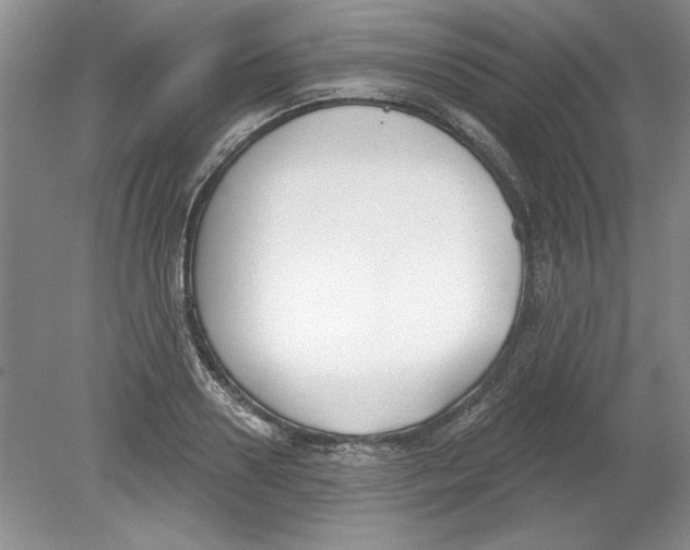 X0000078850938200612041902