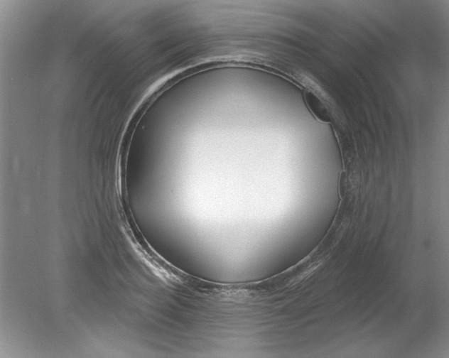 X0000078850940200612041902