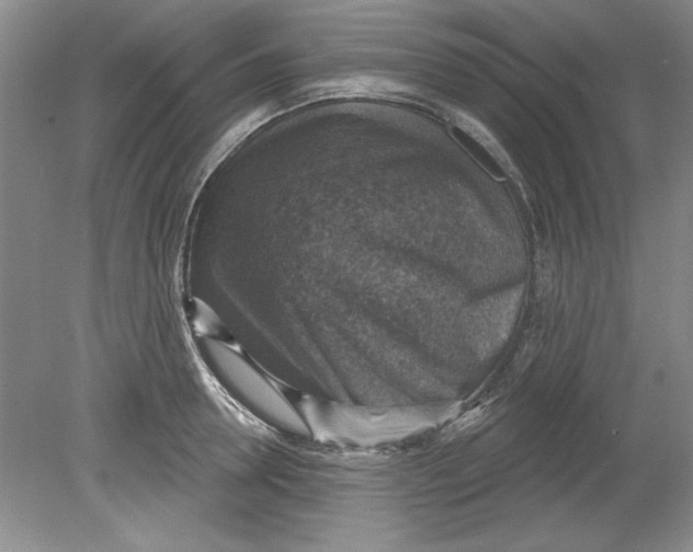 X0000078850946200612041902