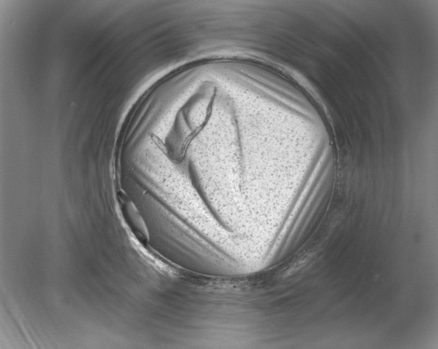 X0000078850951200612041902