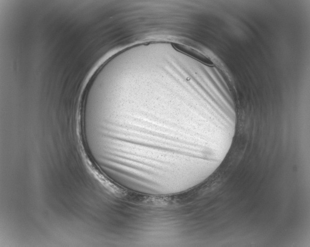 X0000078850955200612041902