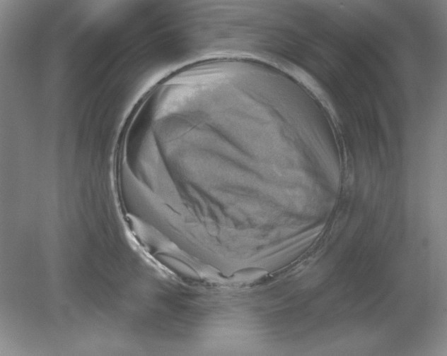 X0000078850958200612041903