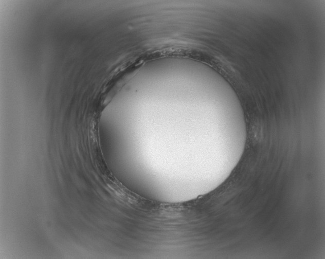 X0000078850964200612041902
