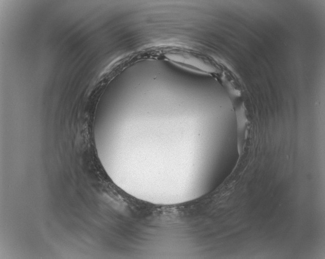 X0000078850968200612041902