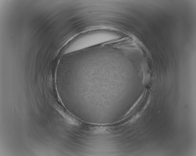 X0000078850969200612041902