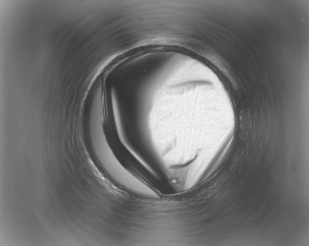 X0000078850972200612041902