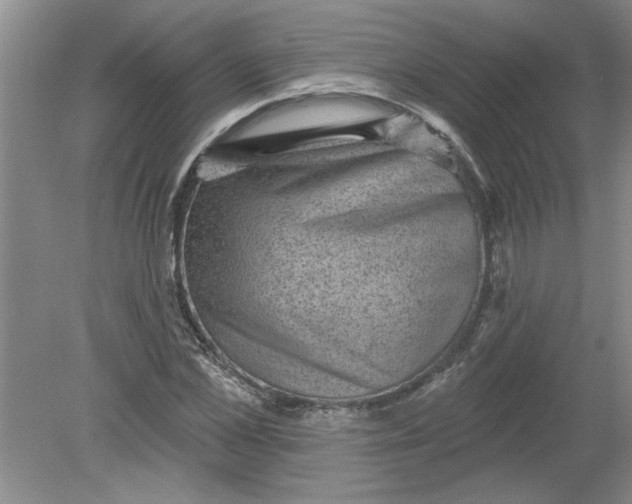 X0000078850973200612041902