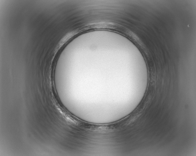 X0000078850986200612041901