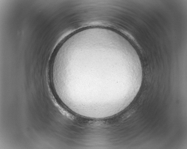 X0000078850991200612041901