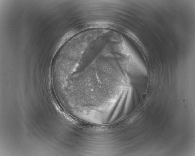 X0000078850994200612041901