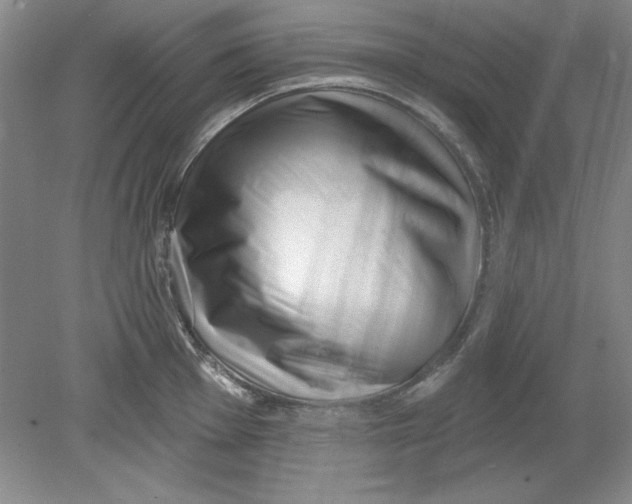 X0000078851001200612041901