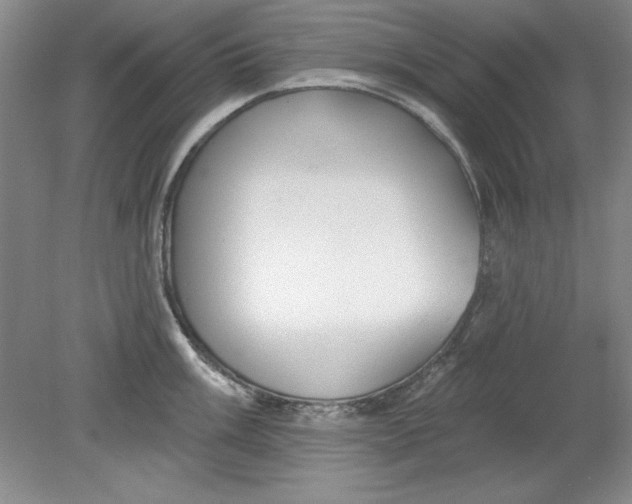 X0000078851003200612041901