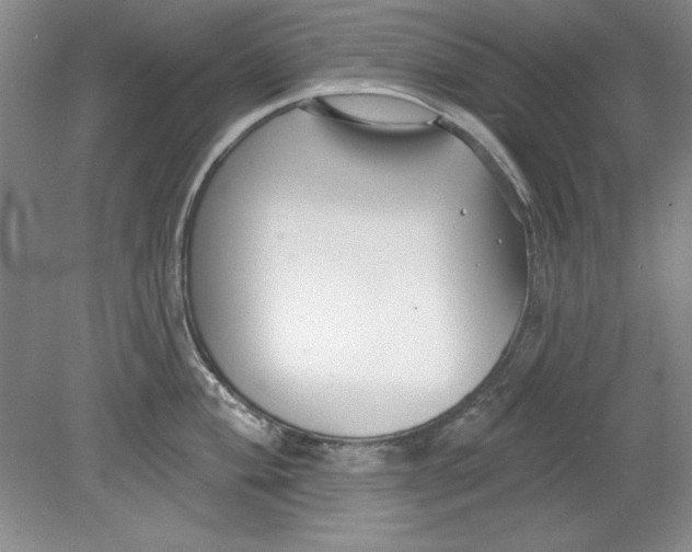 X0000078851004200612041901