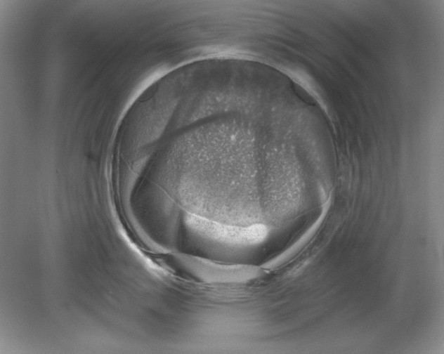 X0000078851007200612041901
