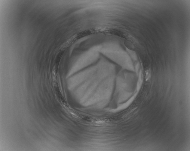 X0000078851011200612041900