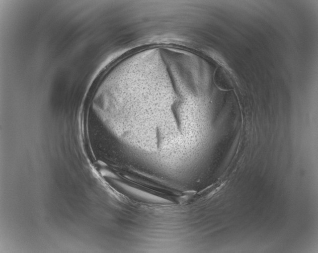 X0000078851032200612041901