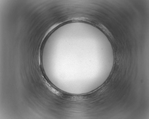 X0000078851036200612041901