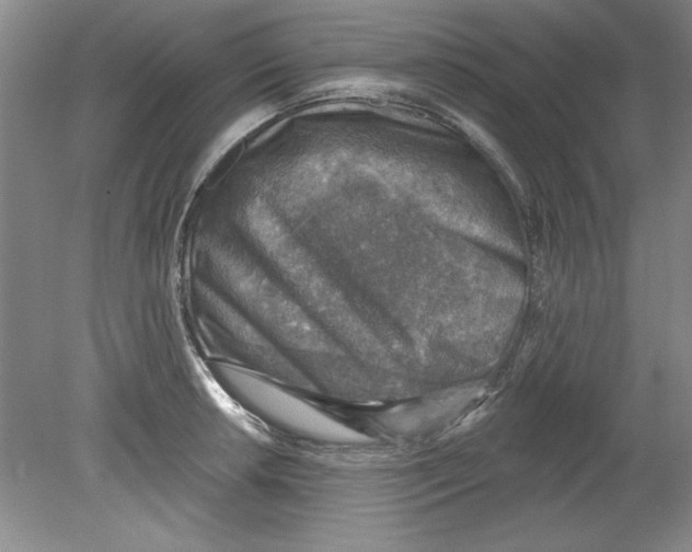 X0000078851042200612041901