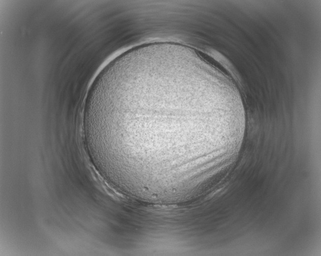 X0000078851052200612041901