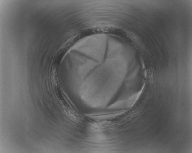 X0000078851060200612041900