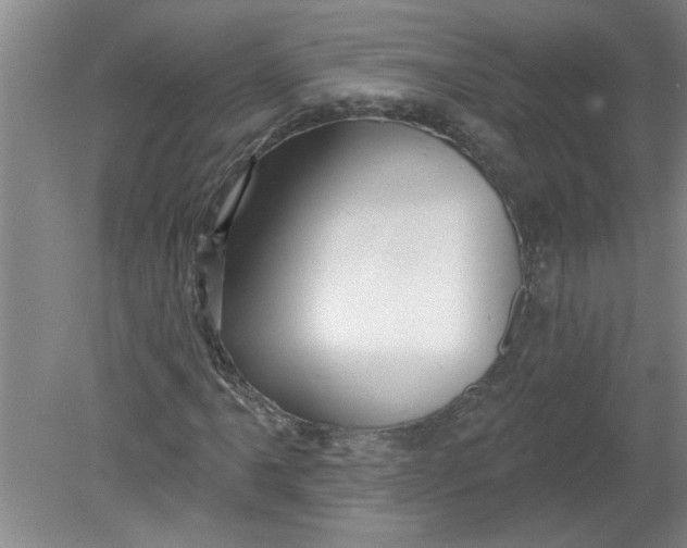 X0000078851061200612041900
