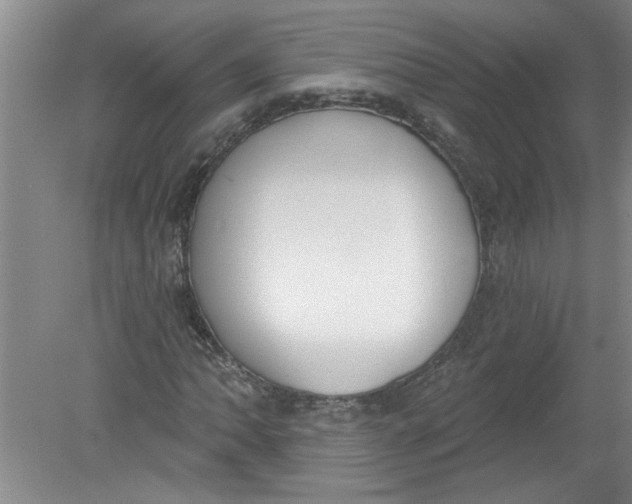 X0000078851062200612041900