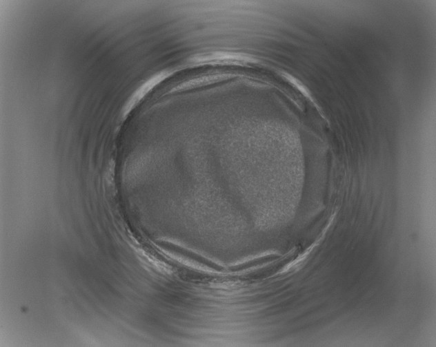 X0000078851066200612041900