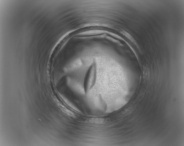 X0000078851068200612041900