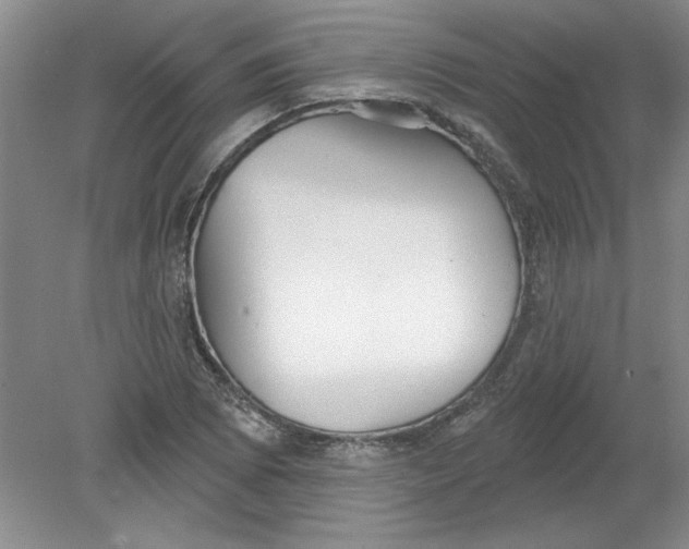 X0000078851073200612041900