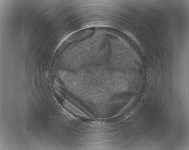 X0000078851081200612041900
