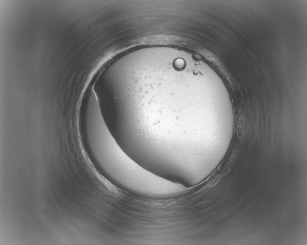 X0000078851083200612041900