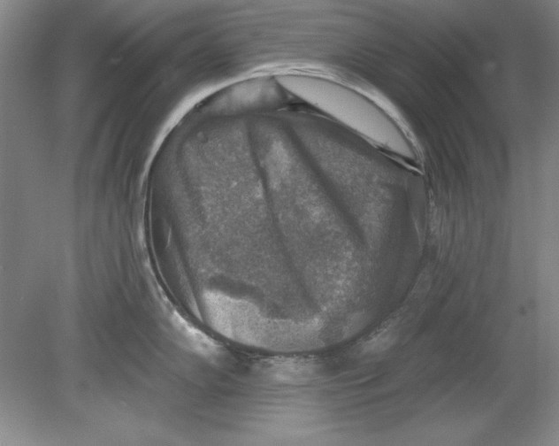 X0000078851102200612041859
