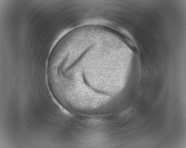 X0000078851103200612041859