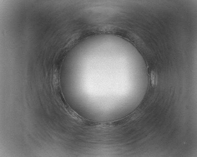 X0000078851107200612041859